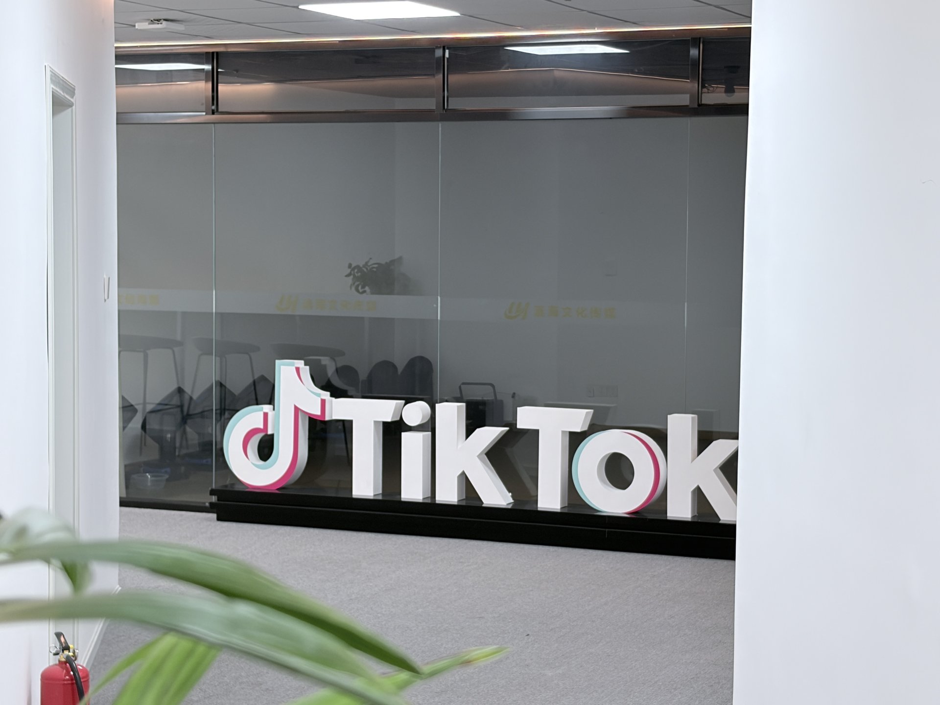 TikTok品牌区